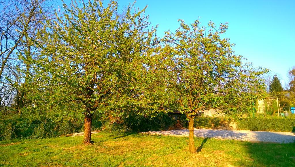 B&B Vinago Belvedere Mornago Luaran gambar